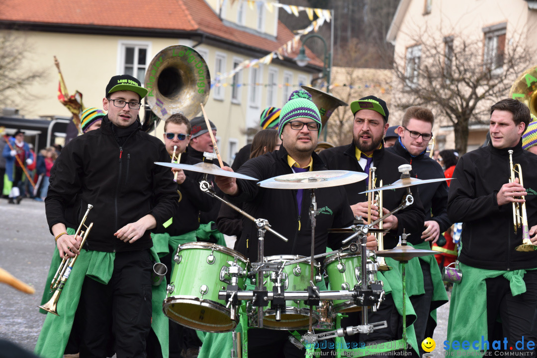 Jubilaeumsumzug - 60 Jahre Zeller Katz: Eberhardszell, 24.02.2019