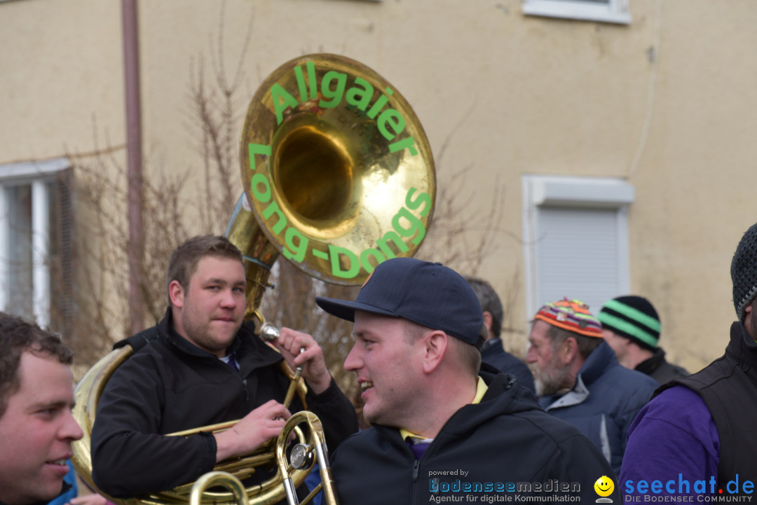 Jubilaeumsumzug - 60 Jahre Zeller Katz: Eberhardszell, 24.02.2019