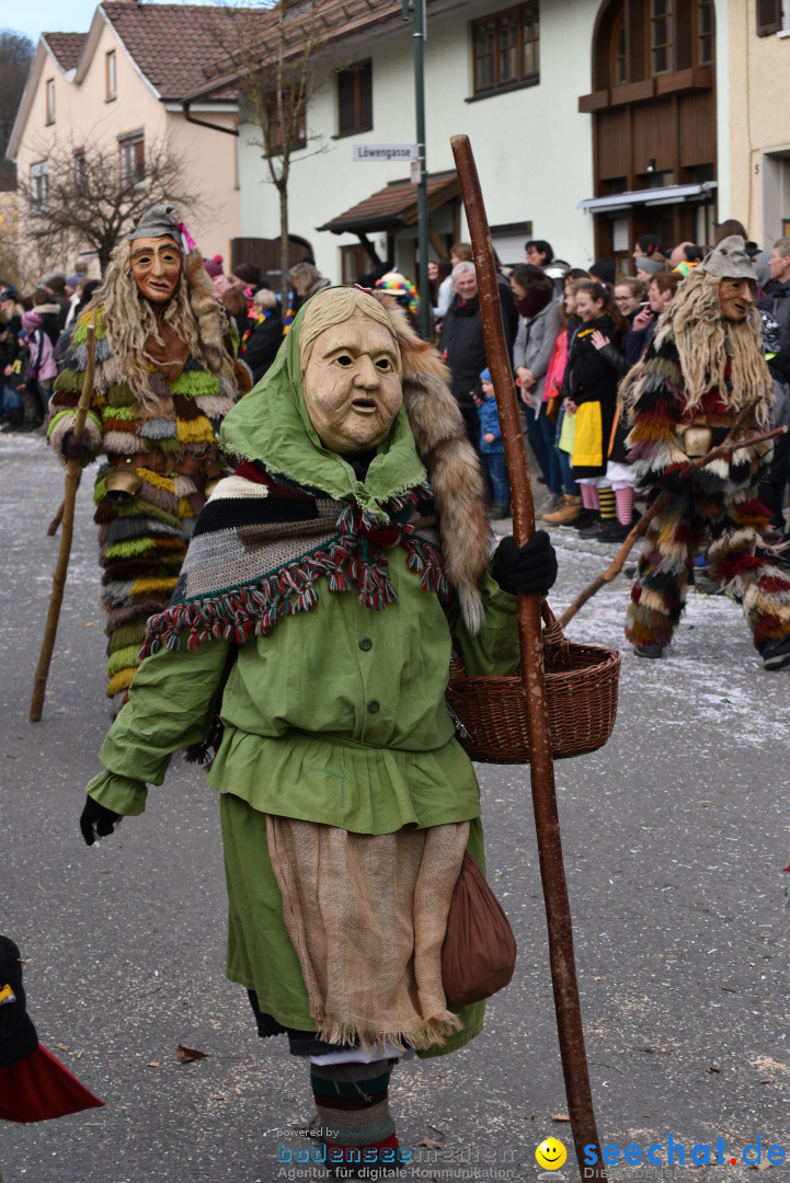 Jubilaeumsumzug - 60 Jahre Zeller Katz: Eberhardszell, 24.02.2019