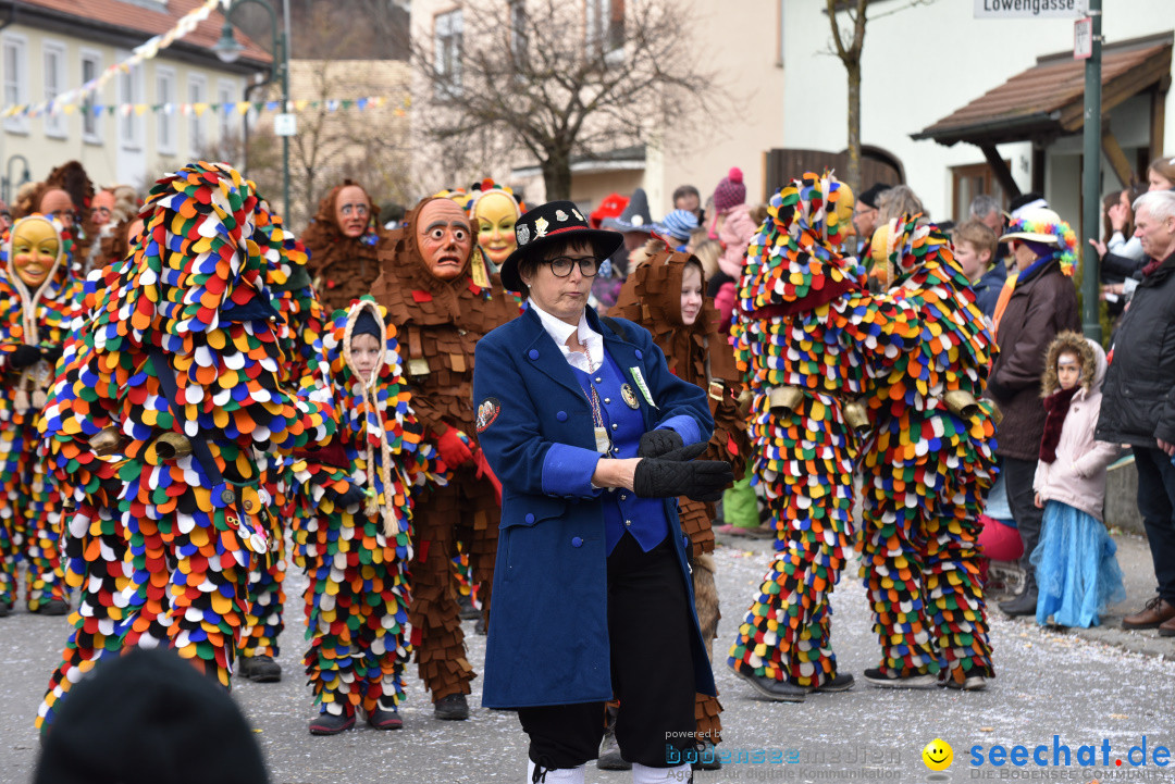 Jubilaeumsumzug - 60 Jahre Zeller Katz: Eberhardszell, 24.02.2019