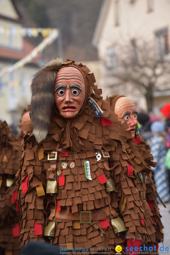 Jubilaeumsumzug - 60 Jahre Zeller Katz: Eberhardszell, 24.02.2019