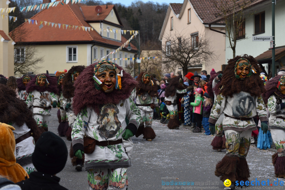 Jubilaeumsumzug - 60 Jahre Zeller Katz: Eberhardszell, 24.02.2019