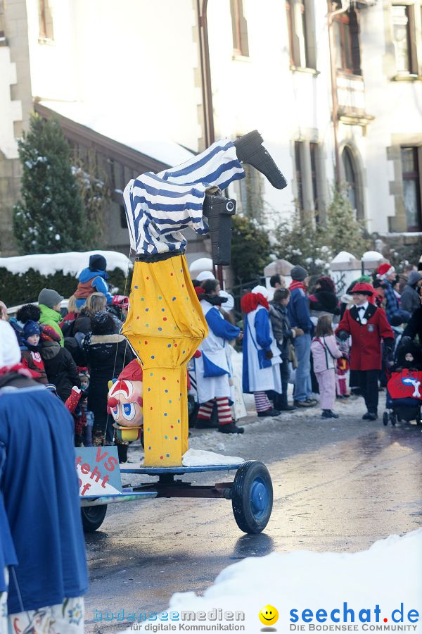 Narrenumzug: Villingen, 16.02.2010