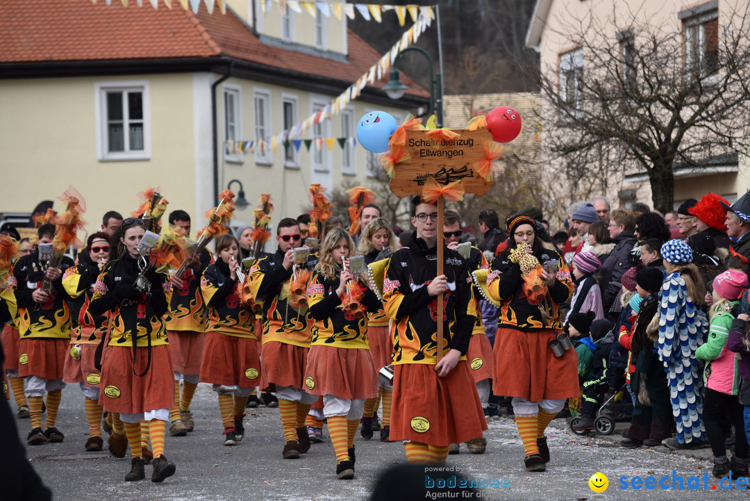 Jubilaeumsumzug - 60 Jahre Zeller Katz: Eberhardszell, 24.02.2019