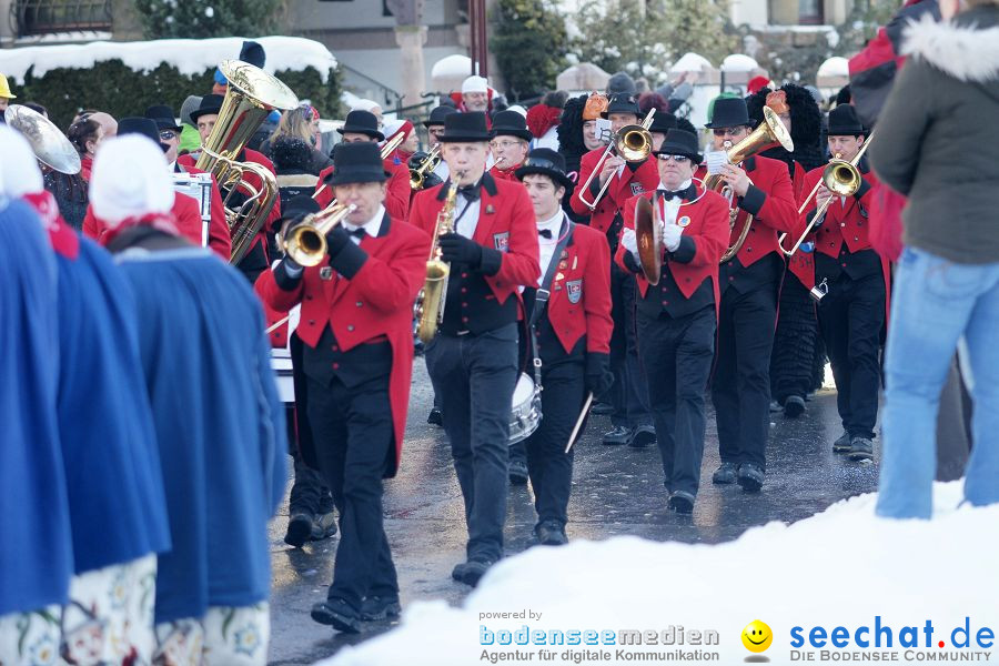 Narrenumzug: Villingen, 16.02.2010