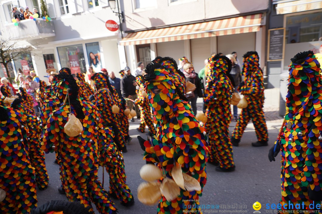 Narrenbaumstellen: Stockach am Bodensee, 28.02.2019