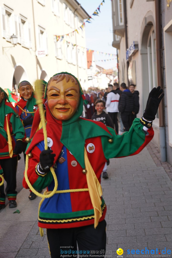 Narrenbaumstellen: Stockach am Bodensee, 28.02.2019