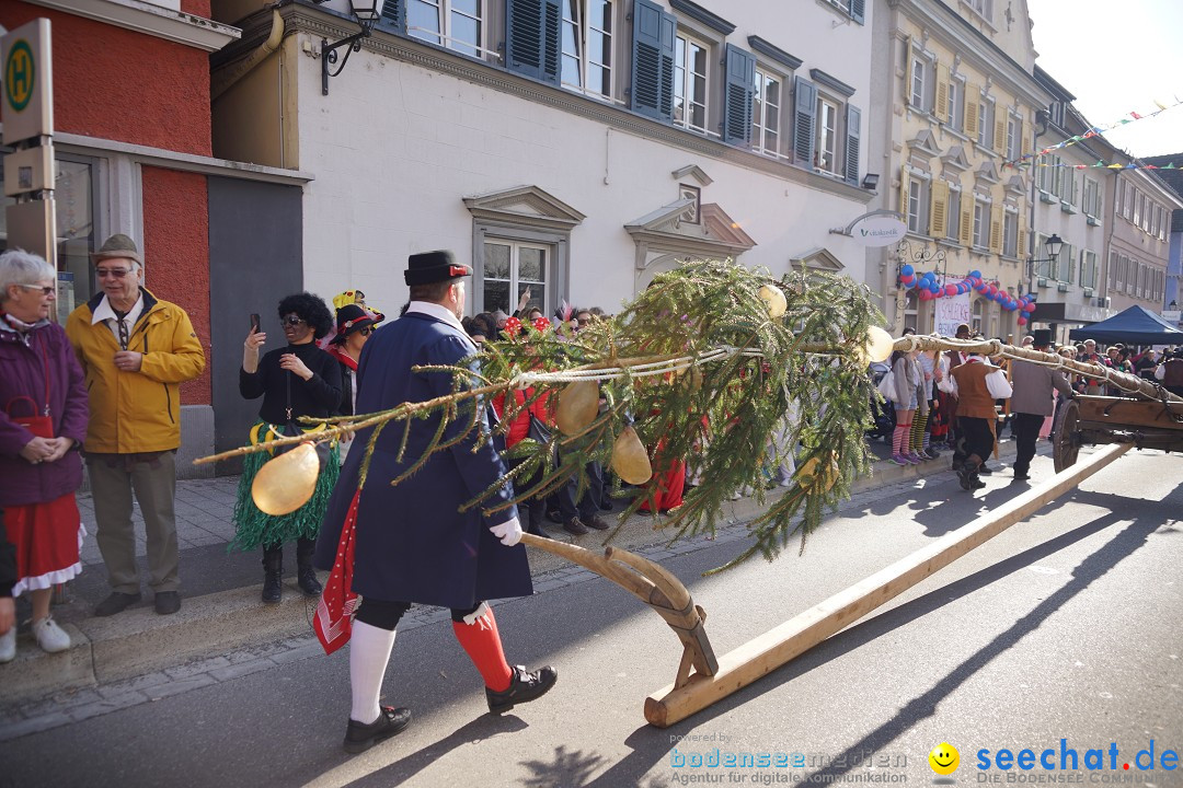 Narrenbaumstellen: Stockach am Bodensee, 28.02.2019