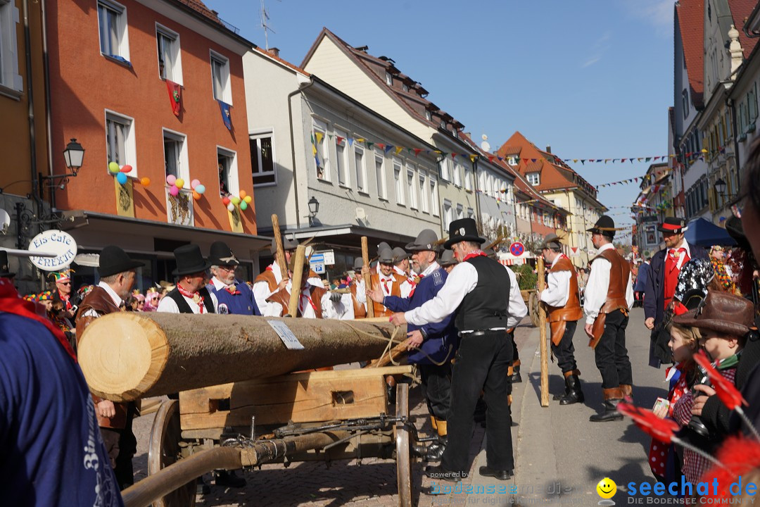 Narrenbaumstellen: Stockach am Bodensee, 28.02.2019