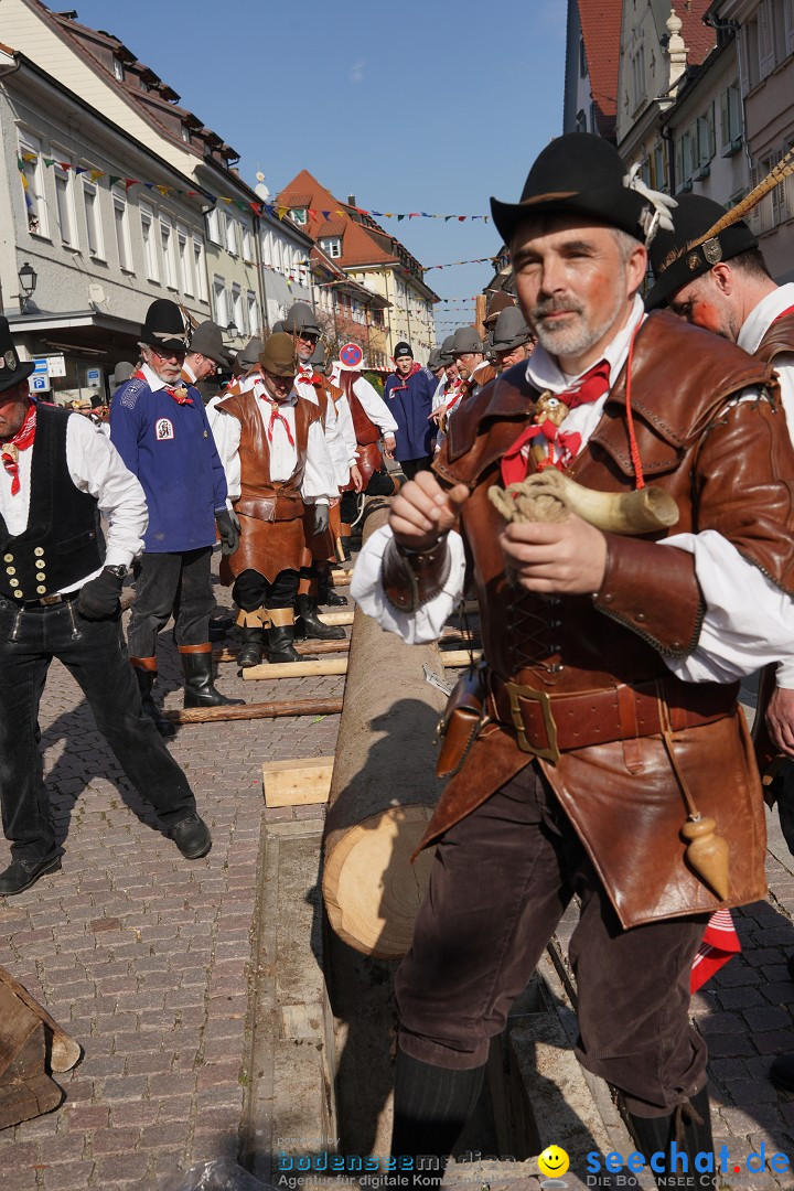 Narrenbaumstellen: Stockach am Bodensee, 28.02.2019