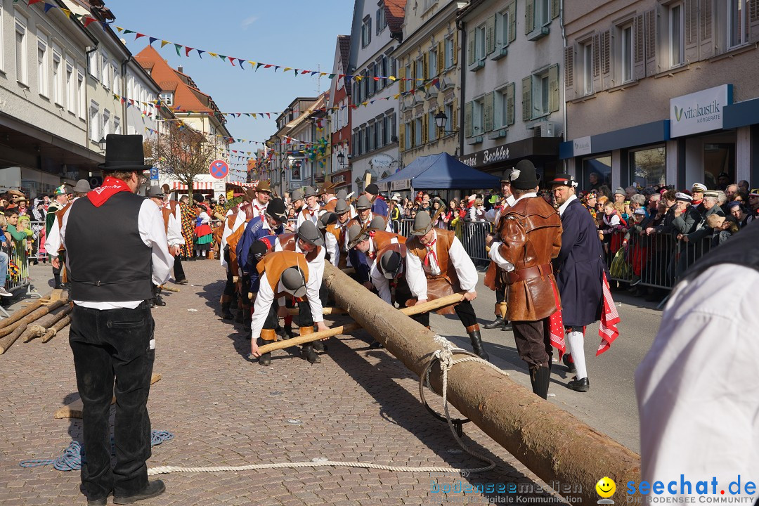 Narrenbaumstellen: Stockach am Bodensee, 28.02.2019