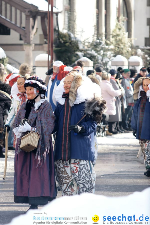 Narrenumzug: Villingen, 16.02.2010