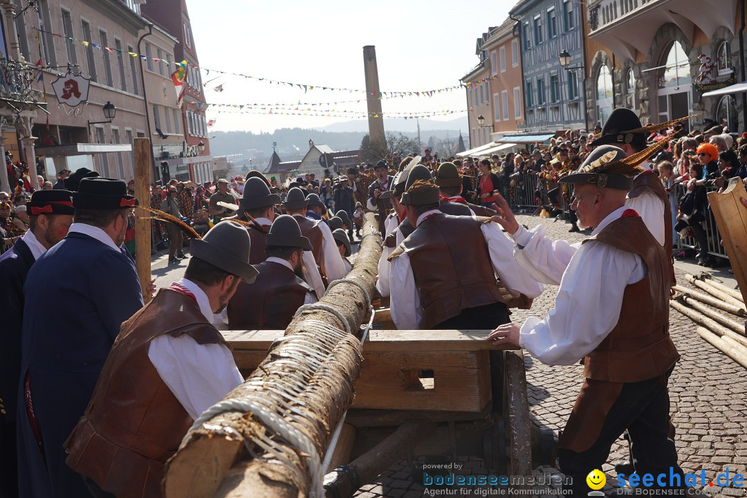 Narrenbaumstellen: Stockach am Bodensee, 28.02.2019