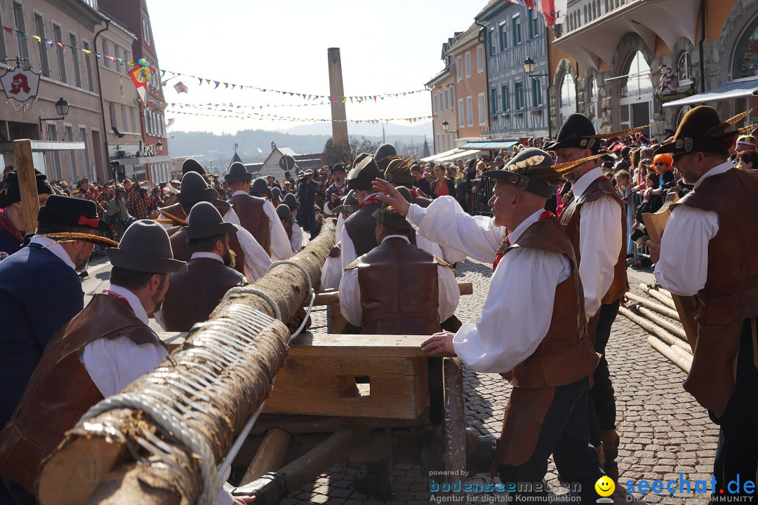 Narrenbaumstellen: Stockach am Bodensee, 28.02.2019