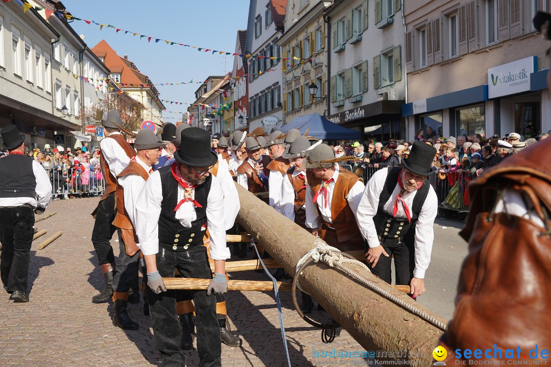 Narrenbaumstellen: Stockach am Bodensee, 28.02.2019