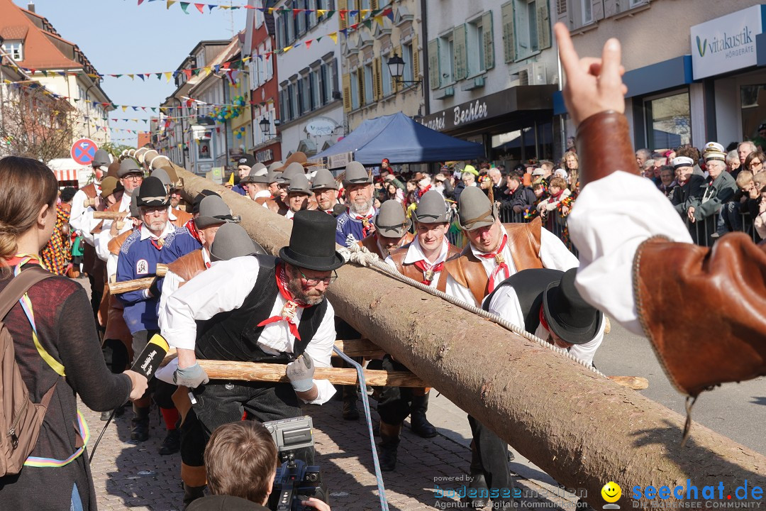 Narrenbaumstellen: Stockach am Bodensee, 28.02.2019