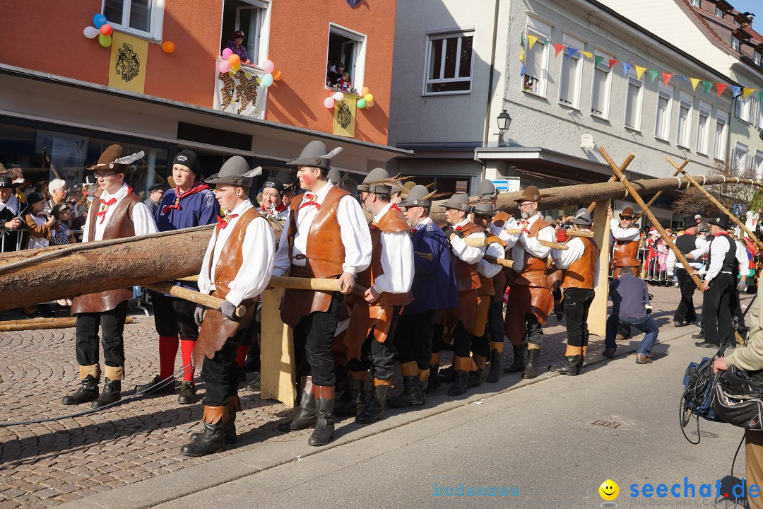 Narrenbaumstellen: Stockach am Bodensee, 28.02.2019