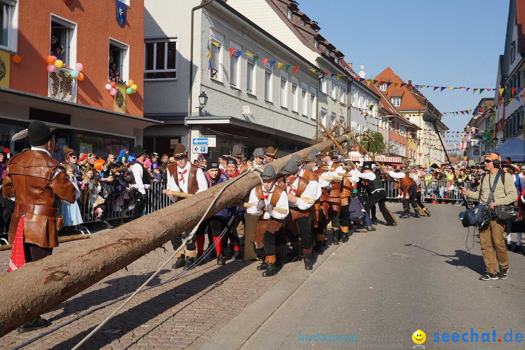 Narrenbaumstellen: Stockach am Bodensee, 28.02.2019