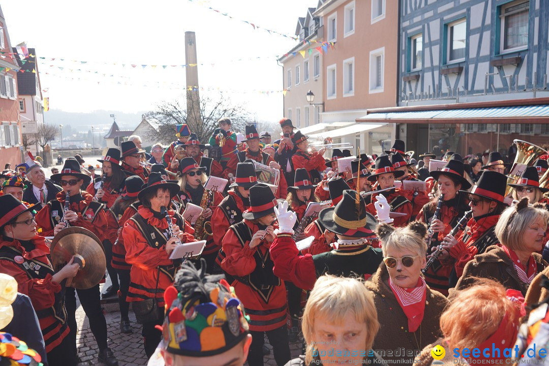 Narrenbaumstellen: Stockach am Bodensee, 28.02.2019