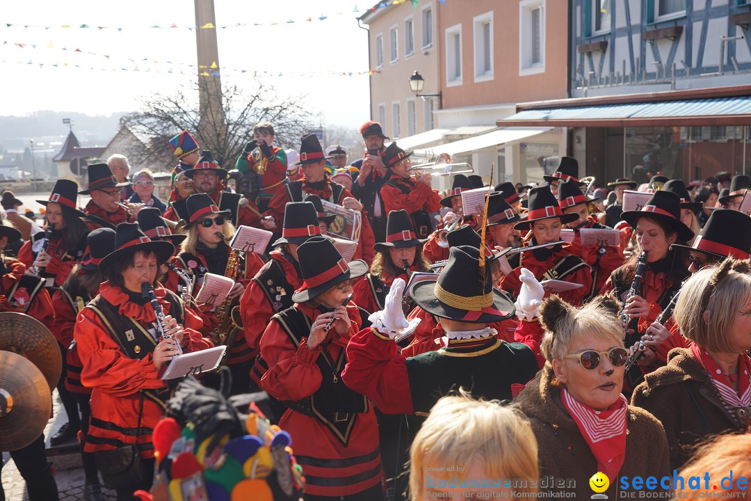 Narrenbaumstellen: Stockach am Bodensee, 28.02.2019