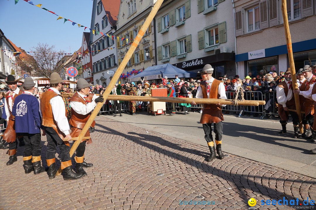 Narrenbaumstellen: Stockach am Bodensee, 28.02.2019