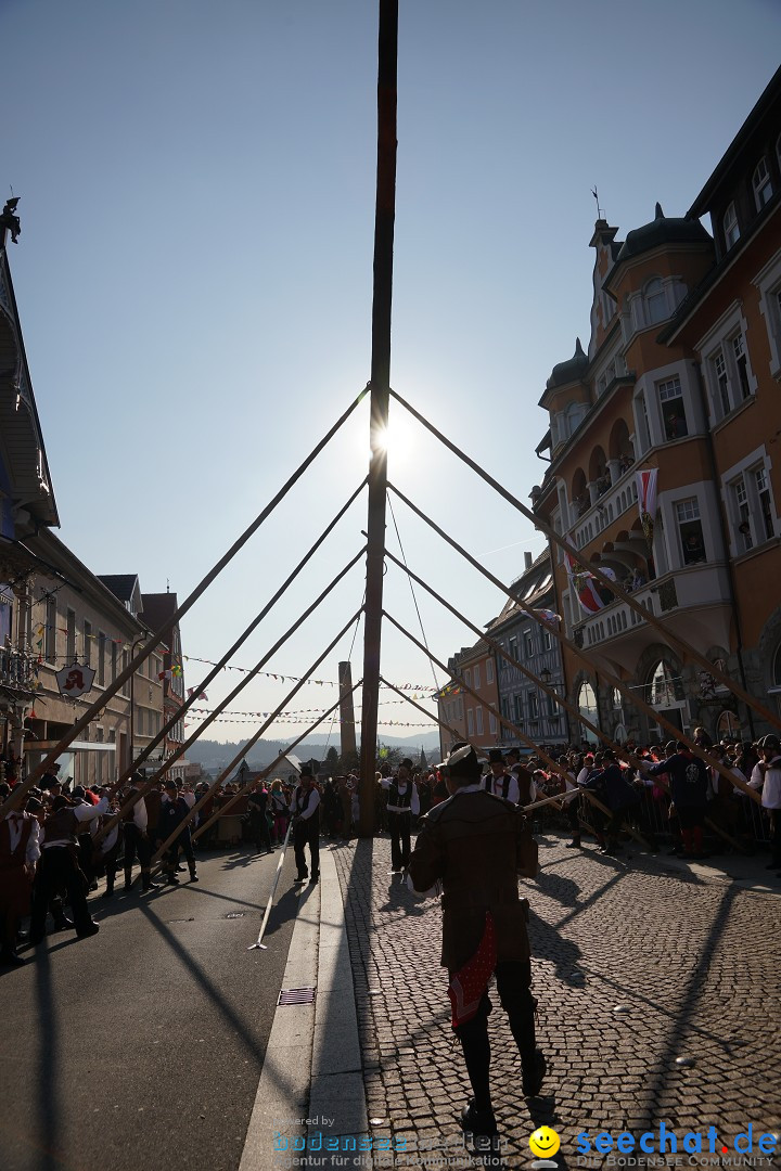 Narrenbaumstellen: Stockach am Bodensee, 28.02.2019