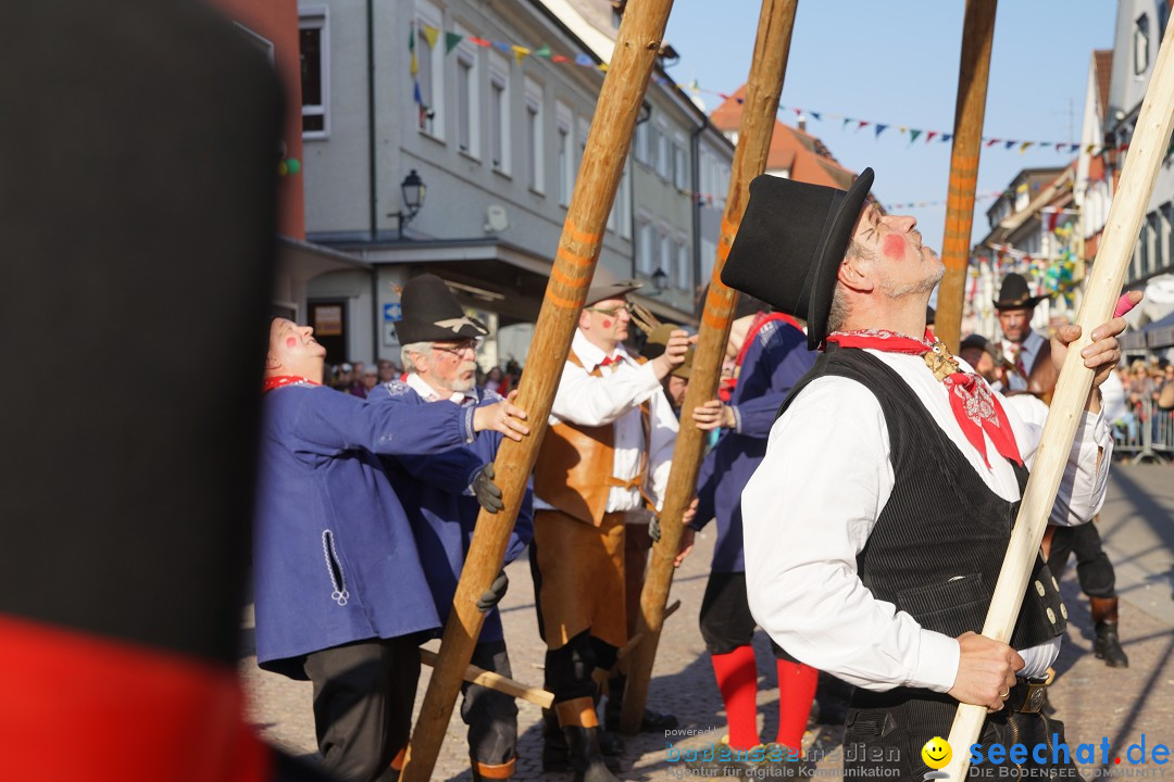 Narrenbaumstellen: Stockach am Bodensee, 28.02.2019