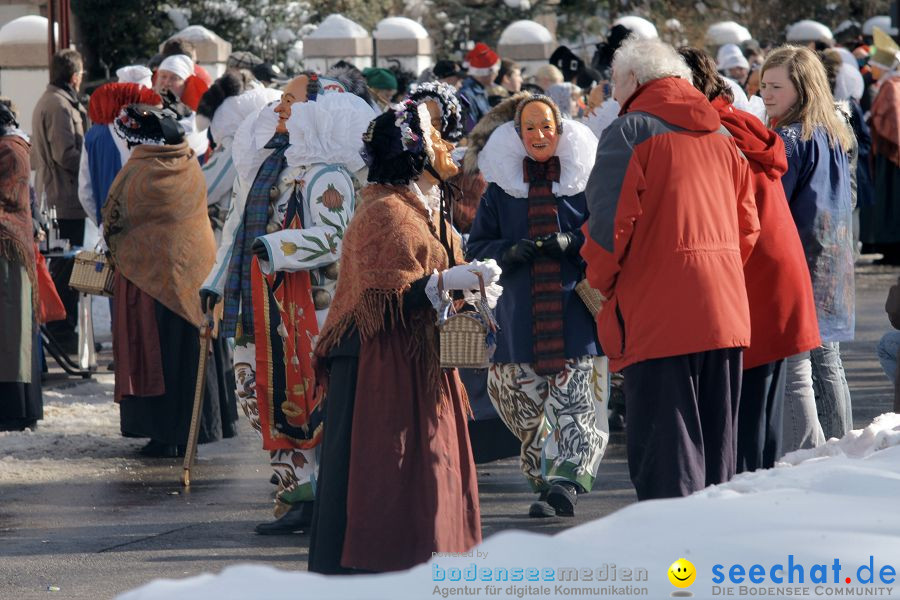 Narrenumzug: Villingen, 16.02.2010