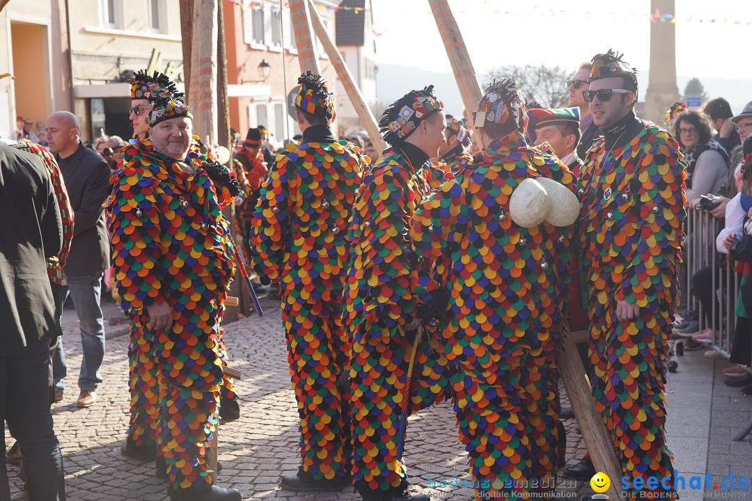 Narrenbaumstellen: Stockach am Bodensee, 28.02.2019