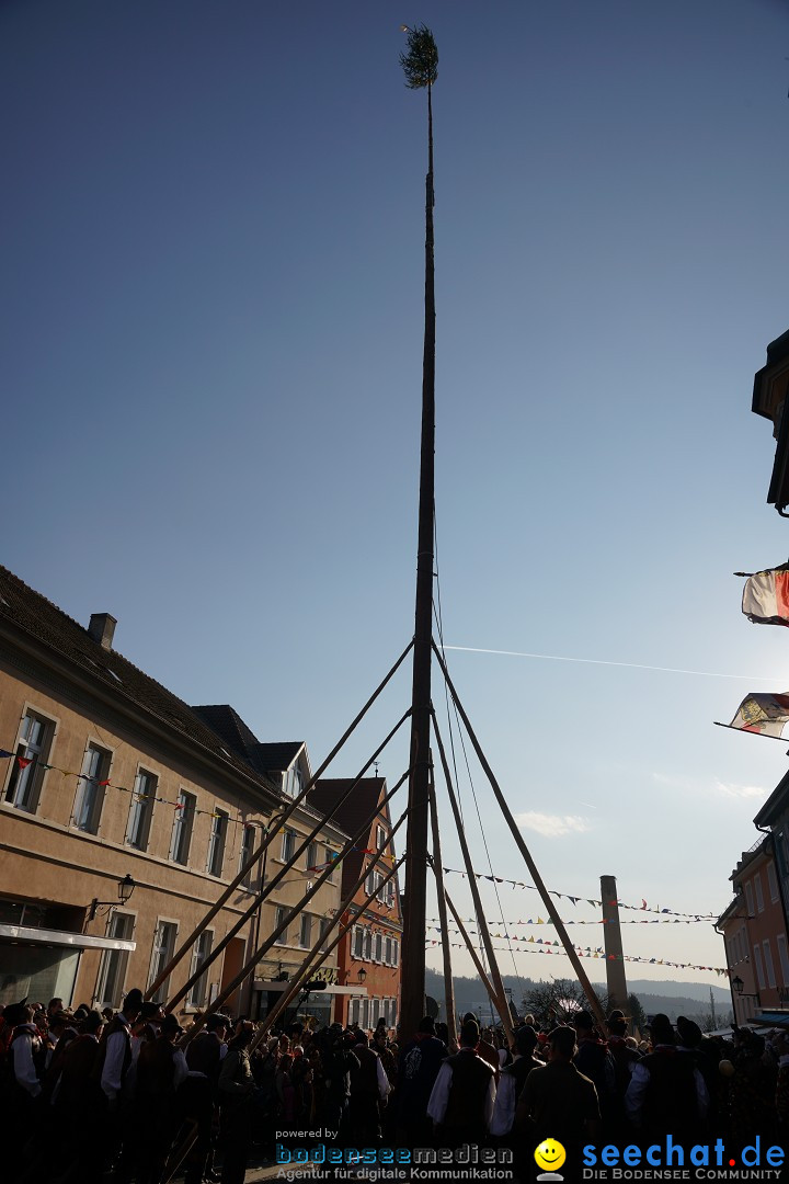 Narrenbaumstellen: Stockach am Bodensee, 28.02.2019