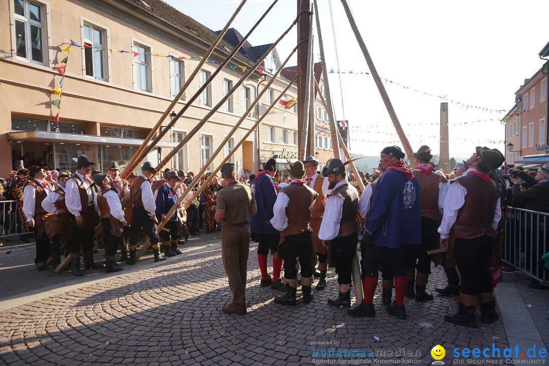 Narrenbaumstellen: Stockach am Bodensee, 28.02.2019