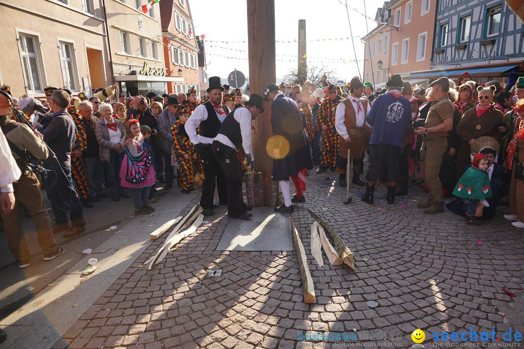 Narrenbaumstellen: Stockach am Bodensee, 28.02.2019