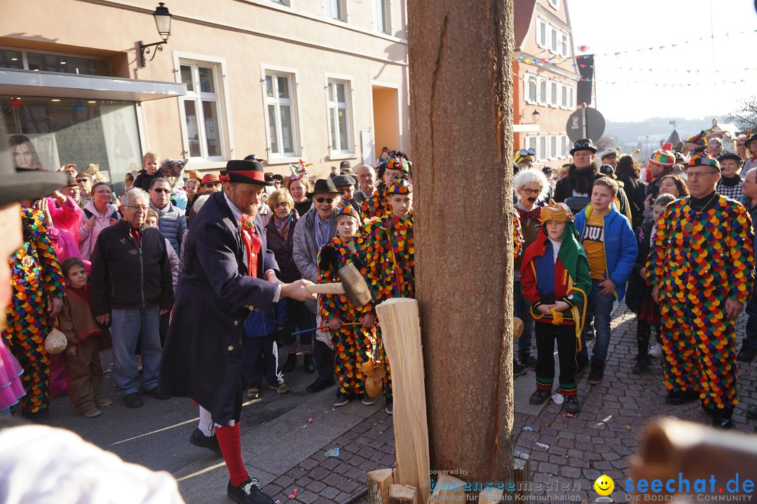 Narrenbaumstellen: Stockach am Bodensee, 28.02.2019