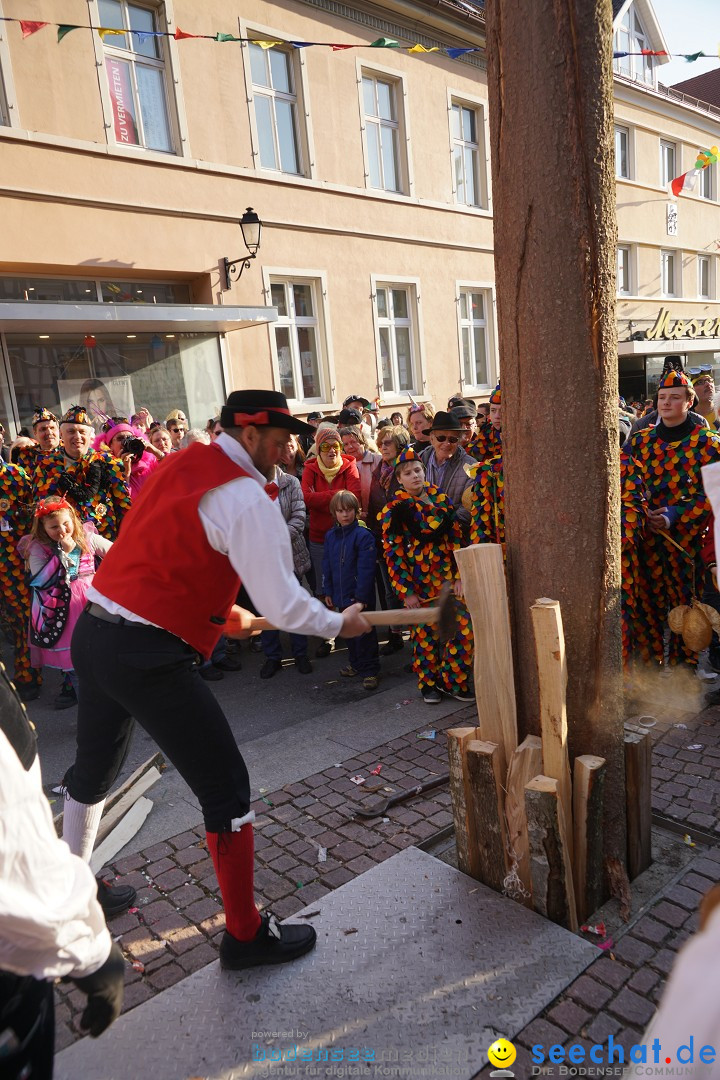 Narrenbaumstellen: Stockach am Bodensee, 28.02.2019