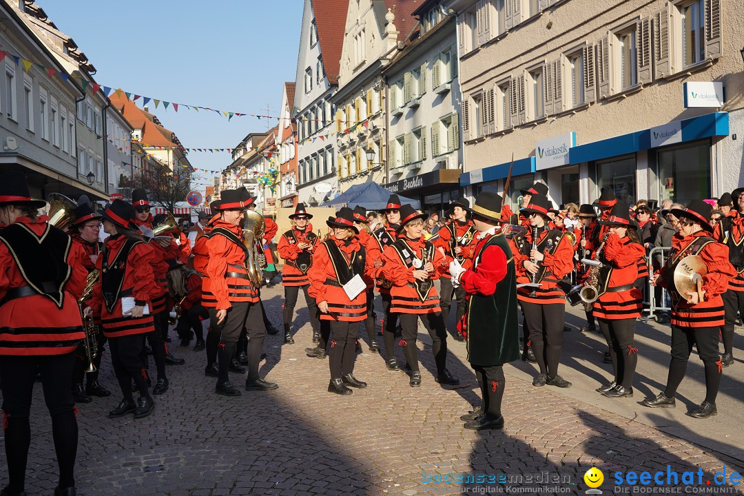 Narrenbaumstellen: Stockach am Bodensee, 28.02.2019