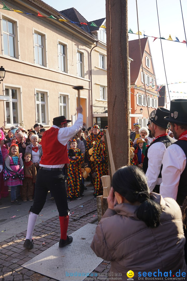 Narrenbaumstellen: Stockach am Bodensee, 28.02.2019