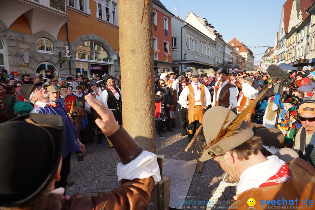 Narrenbaumstellen: Stockach am Bodensee, 28.02.2019