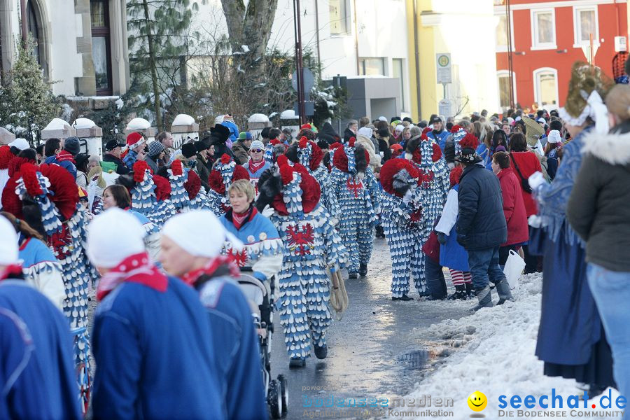 Narrenumzug: Villingen, 16.02.2010