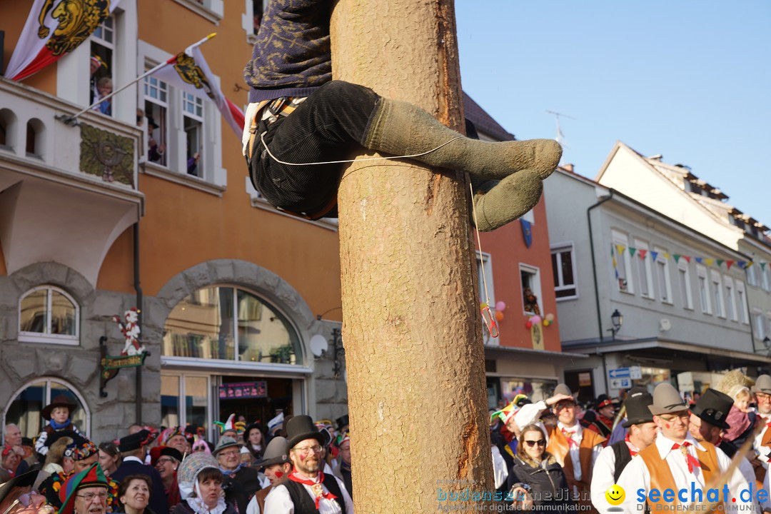 Narrenbaumstellen: Stockach am Bodensee, 28.02.2019