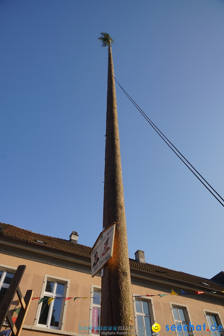 Narrenbaumstellen: Stockach am Bodensee, 28.02.2019