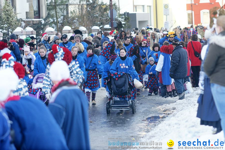 Narrenumzug: Villingen, 16.02.2010