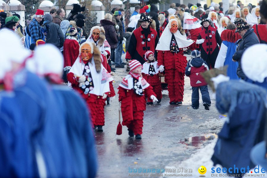 Narrenumzug: Villingen, 16.02.2010