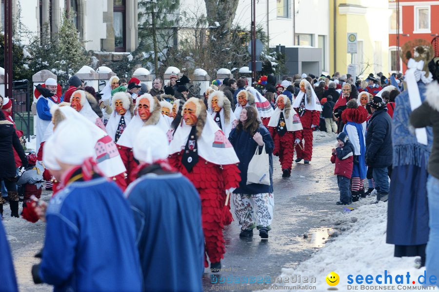 Narrenumzug: Villingen, 16.02.2010