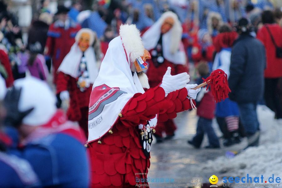 Narrenumzug: Villingen, 16.02.2010