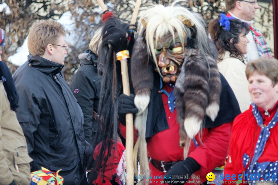 Narrenumzug: Villingen, 16.02.2010