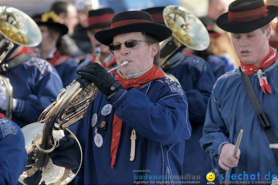 Narrenumzug: Villingen, 16.02.2010