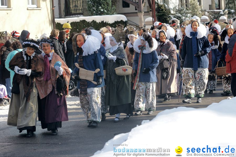 Narrenumzug: Villingen, 16.02.2010