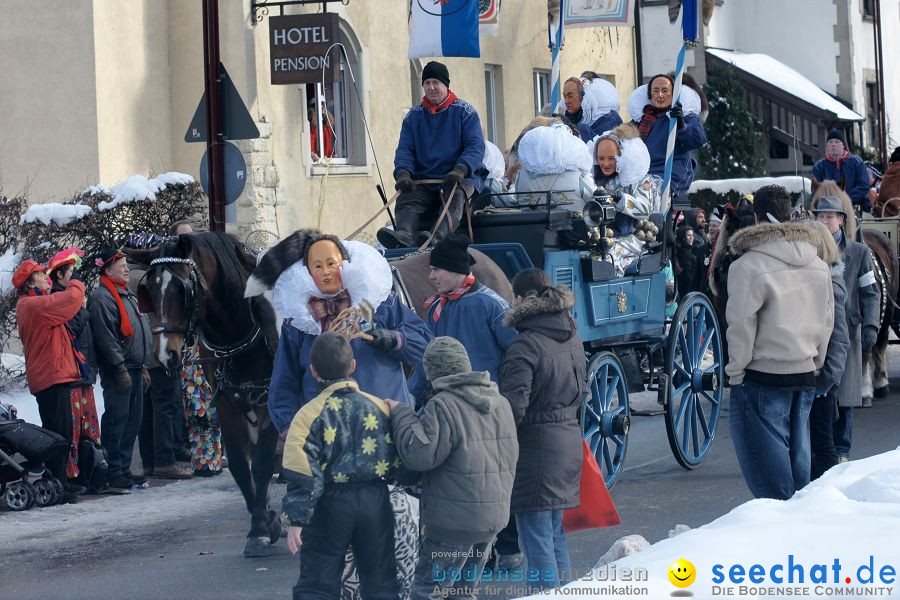 Narrenumzug: Villingen, 16.02.2010