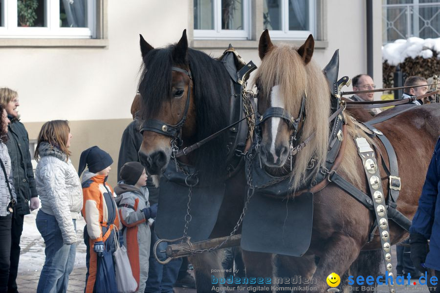 Narrenumzug: Villingen, 16.02.2010