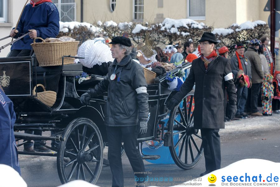 Narrenumzug: Villingen, 16.02.2010